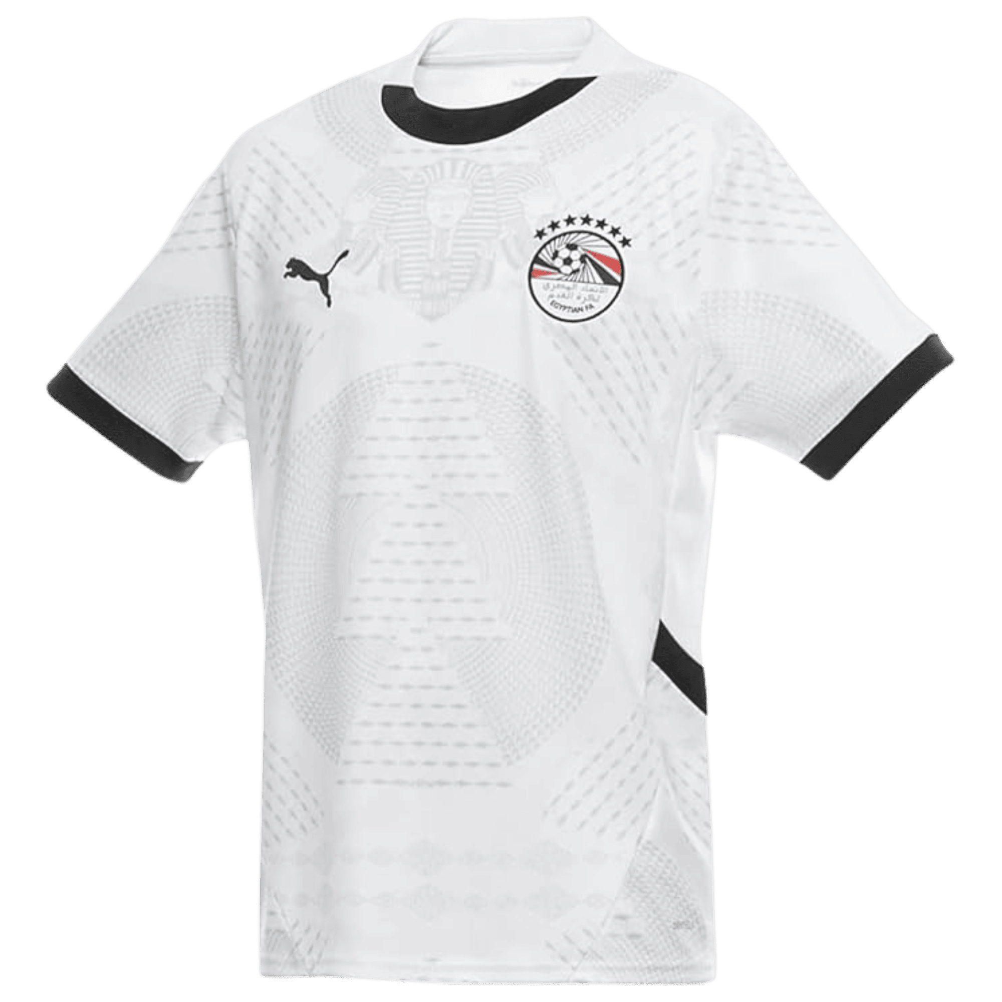 Egypt Away Jersey 2026